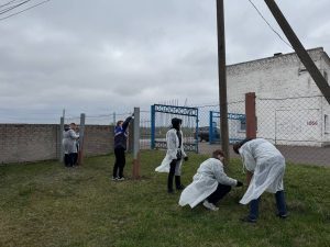 🛠️🤝 Совместный труд – залог успеха! 🤝🛠️