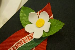 В ГУО «Ратичская средняя школа» прошла линейка, посвящённая государственной символике Республики Беларусь